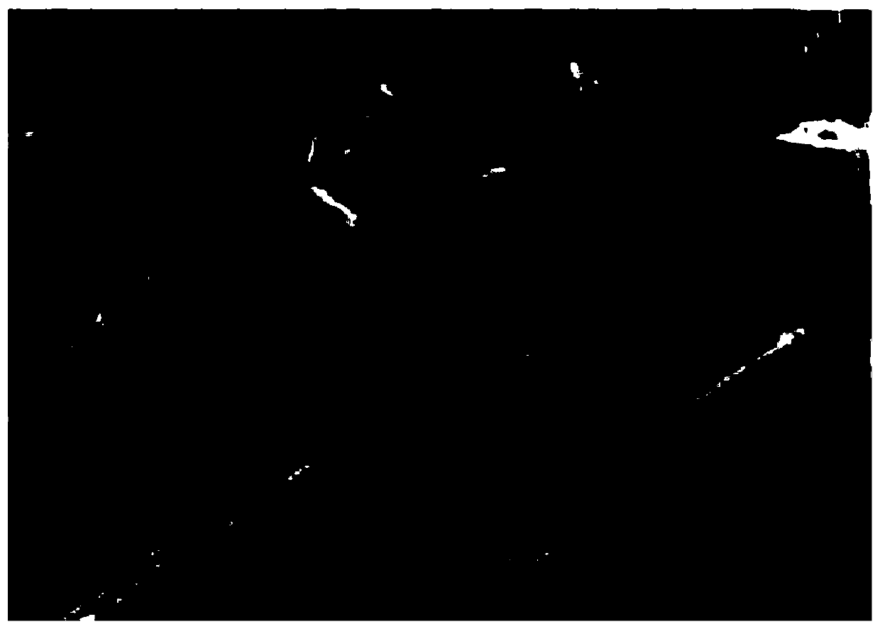 Method for improving lignocellulose saccharification efficiency