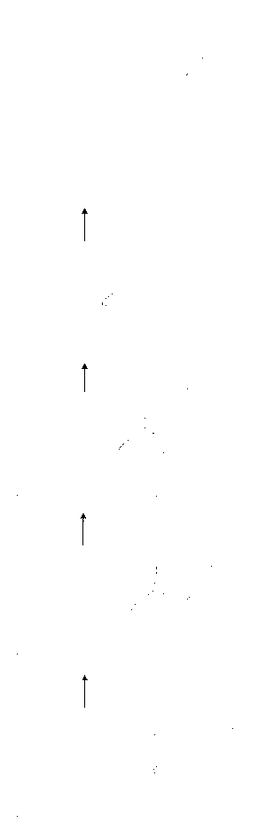 Application interface, and method and device for controlling application interface operation