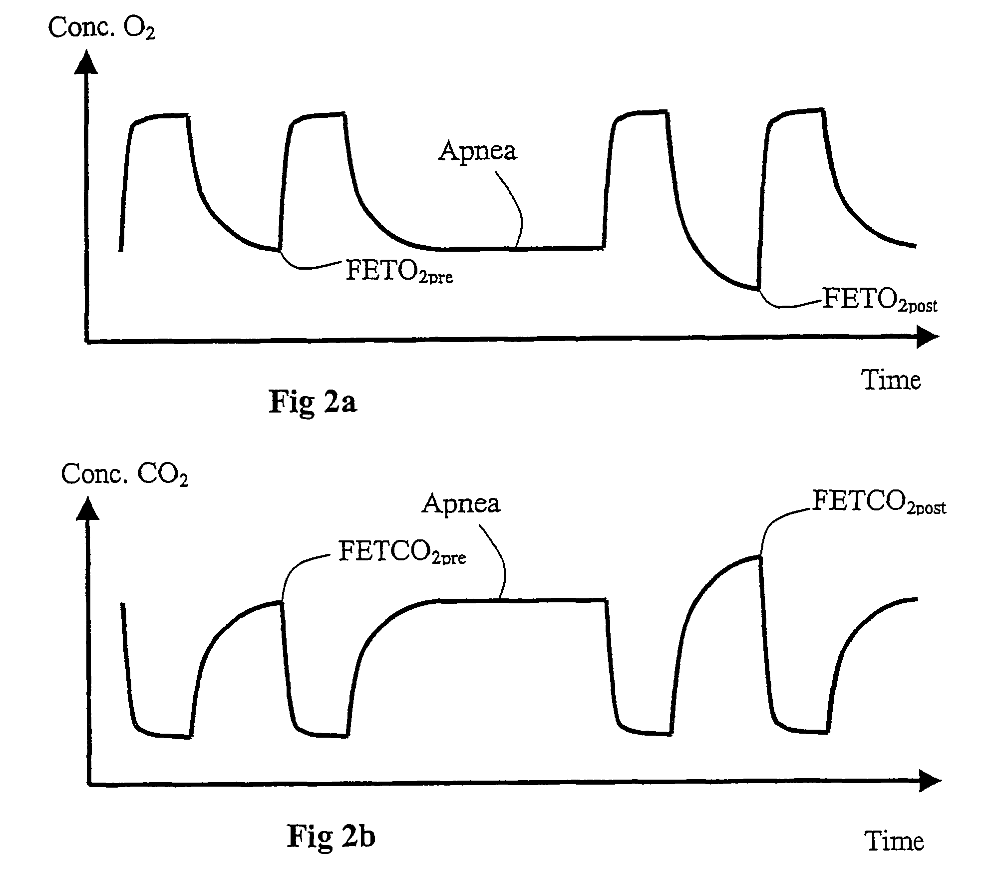 Method and apparatus for measuring functional residual capacity (FRC) and cardiac output(CO)