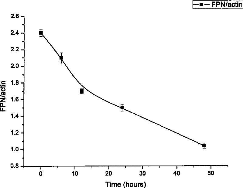 The rna, recombinant and its application for inhibiting human ferroportin