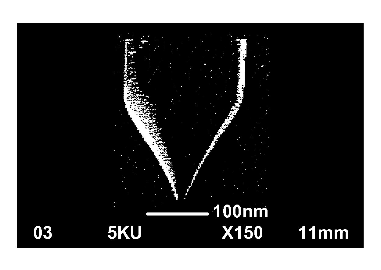 Atomic level ion source and method of manufacture and operation