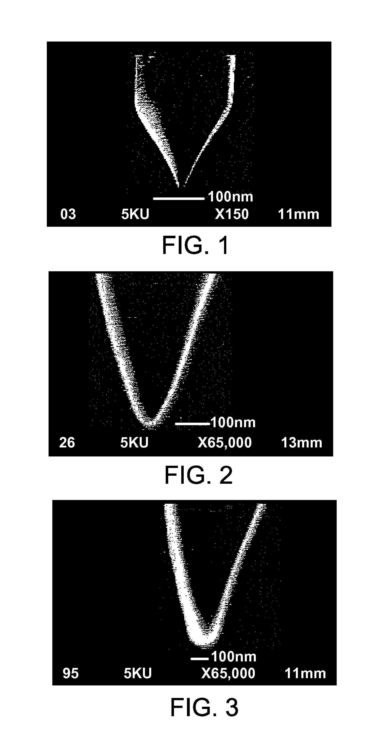 Atomic level ion source and method of manufacture and operation