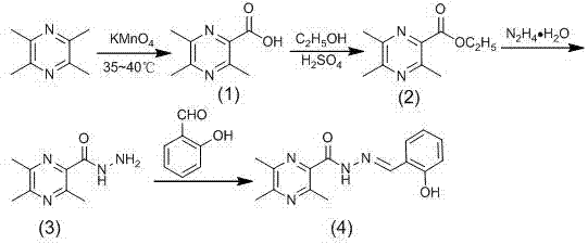 Ligustrazine acylhydrazone derivatives, and preparation method and application thereof