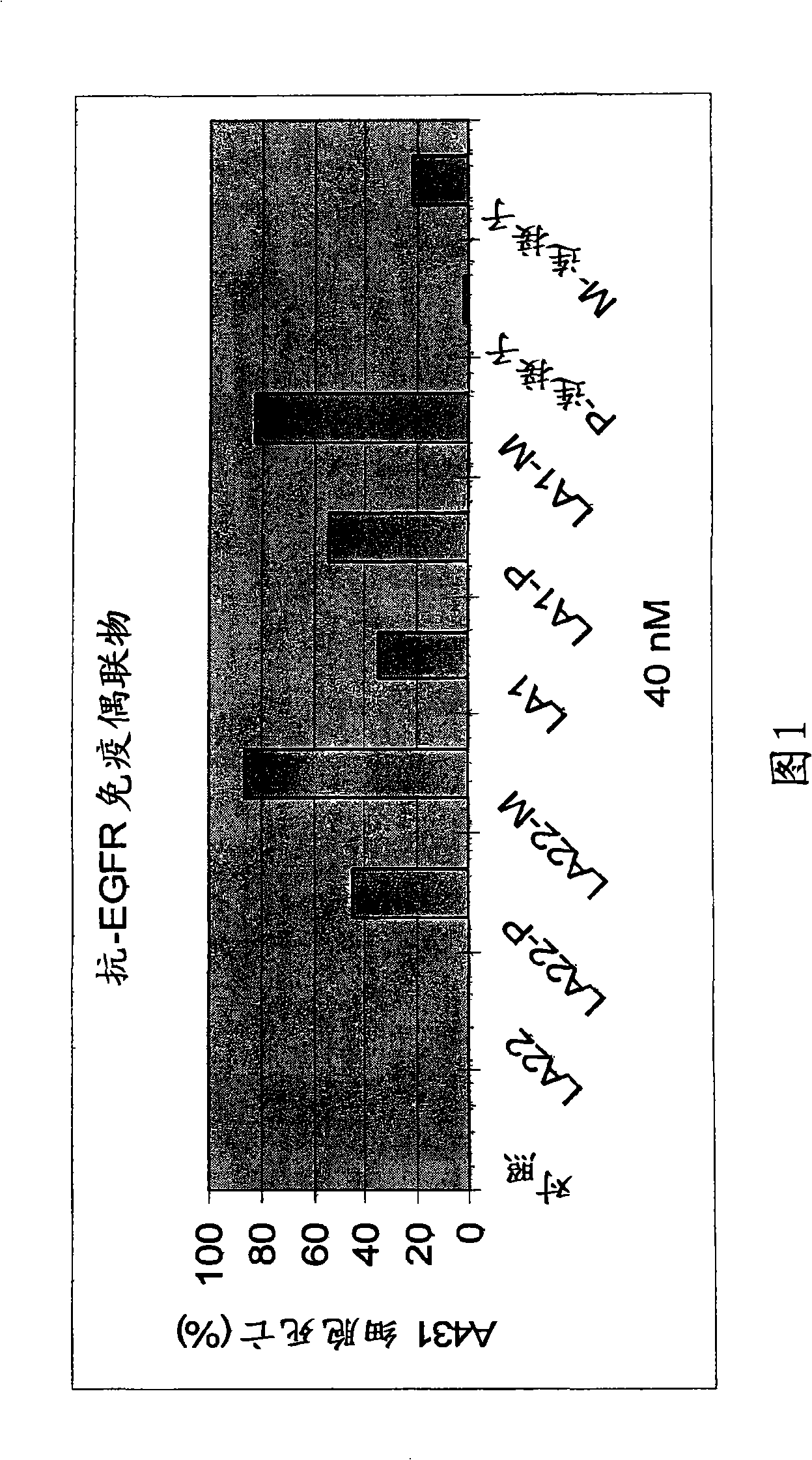 Antibodies for the treatment of cancers