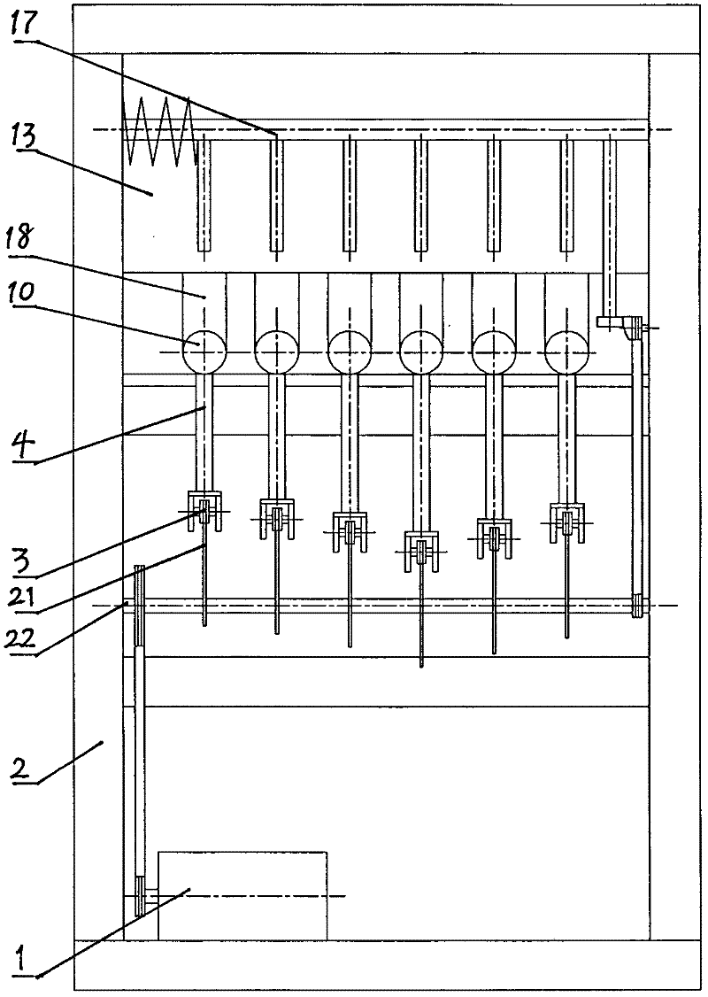 Pecan shelling machine