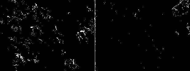 A kind of al-ti-nb-b refiner for cast aluminum-silicon alloy and its preparation method and application