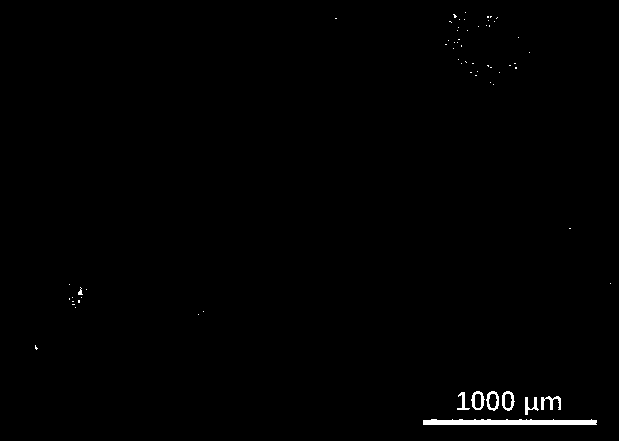 A kind of al-ti-nb-b refiner for cast aluminum-silicon alloy and its preparation method and application