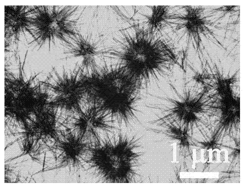 Microwave-assisted preparation method of hydroxylapatite nanometer structure porous microspheres