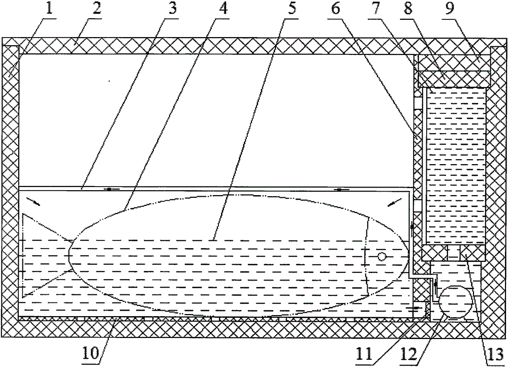 Oxygenating and water spraying live fish transport case system