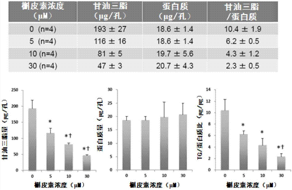 Composition for suppressing muscular fatty change