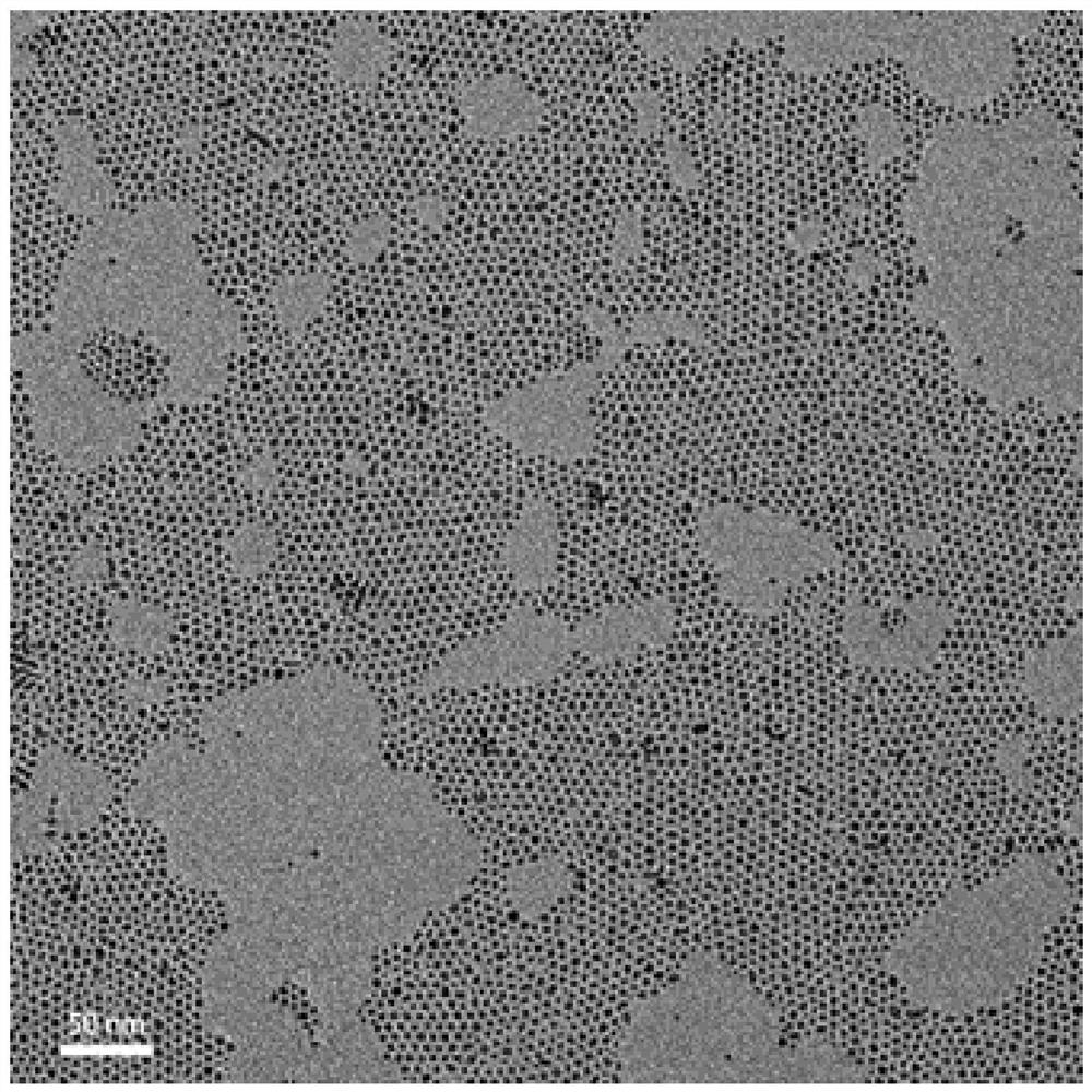 pH-responsive magnetic nanoparticle assembly and its preparation method and application