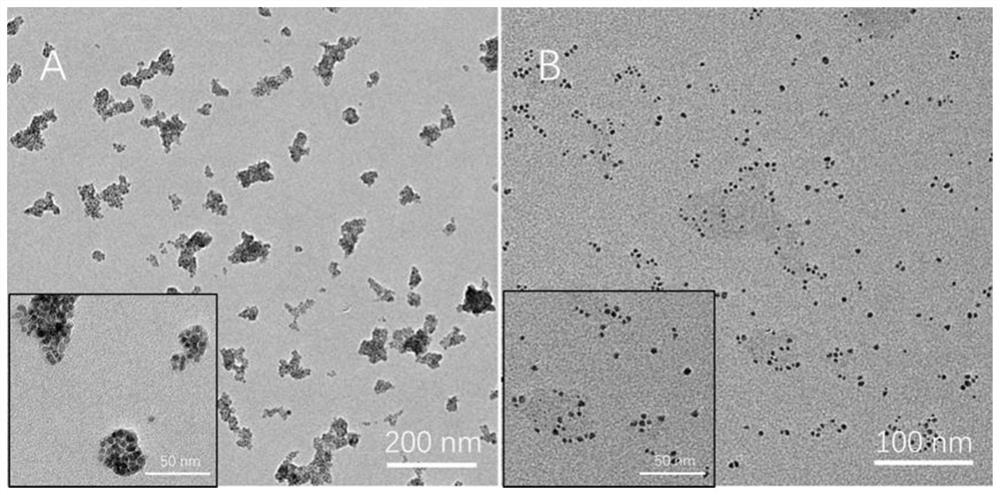 pH-responsive magnetic nanoparticle assembly and its preparation method and application