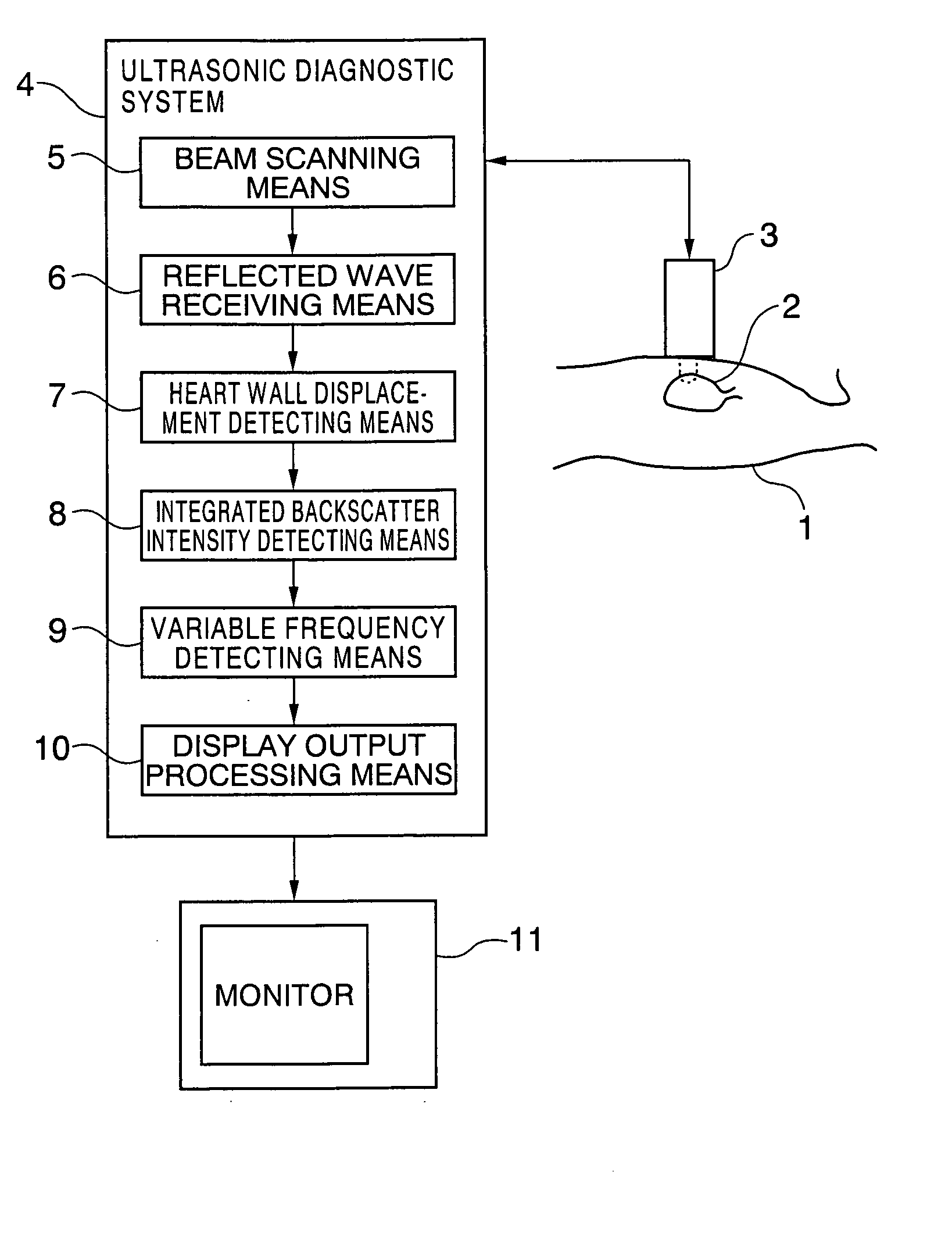 Ultrasonographic system and ultrasonography