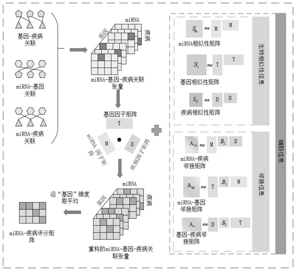 MiRNA-disease association prediction method and system based on tensor decomposition