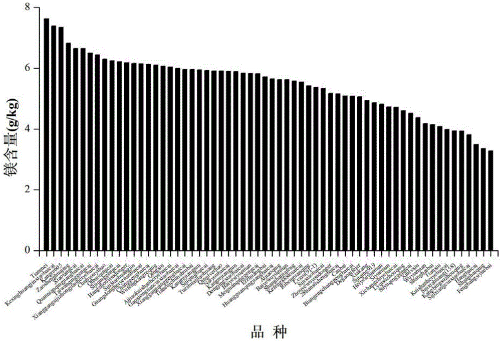 Cultivation method for low-cadmium-accumulation and high-magnesium-enrichment Brassica campestris