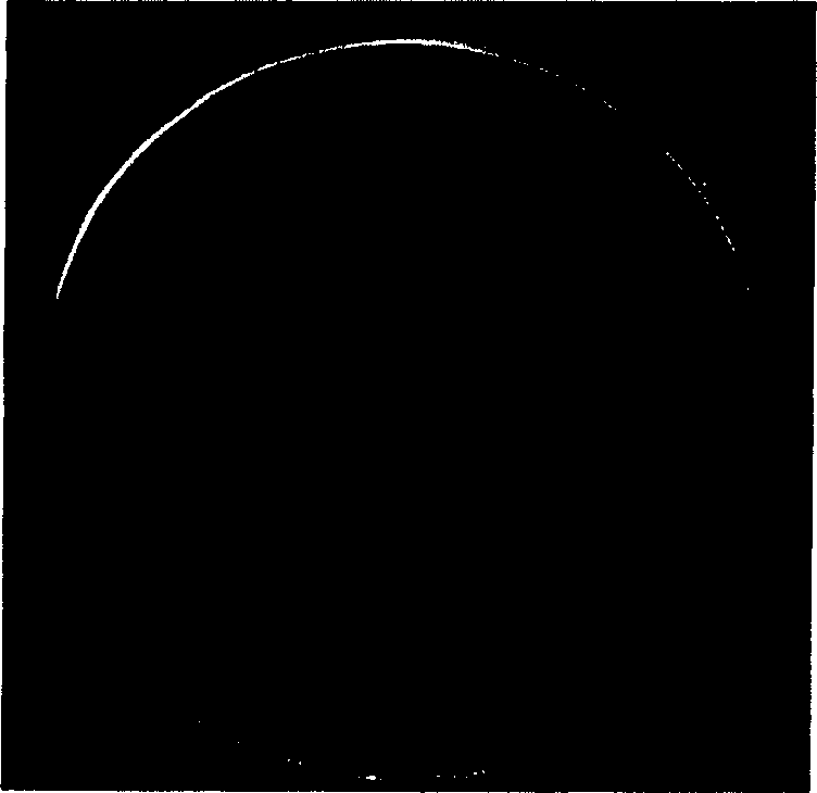 Pediococcus pentosaceus strain, ferment produced thereby and the use of ferment in meat ware