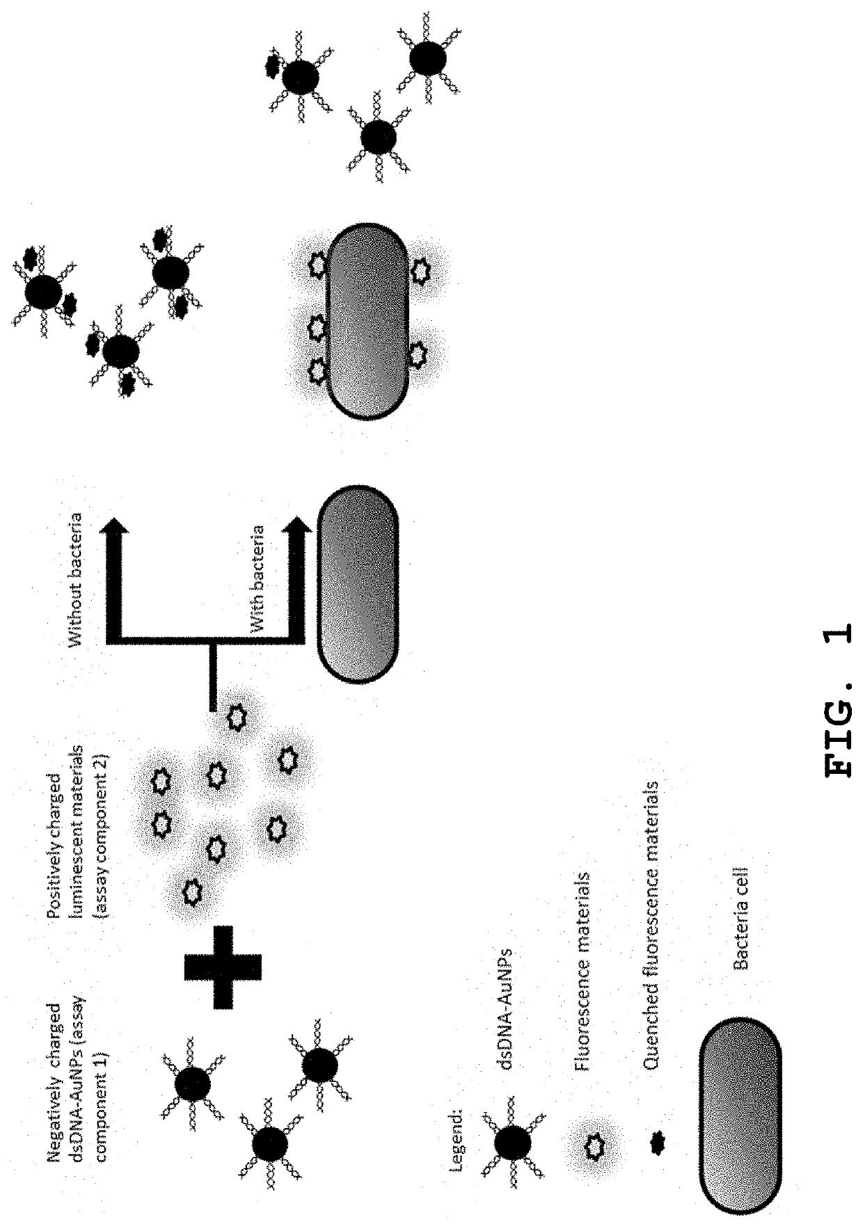 Nanomaterial-based Bacterial Sensors