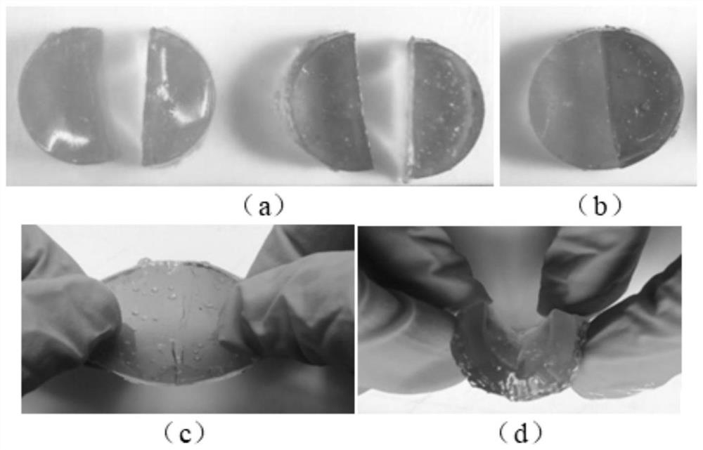 A kind of carboxyethyl chitosan/polyvinyl alcohol self-healing hydrogel and its preparation method and application