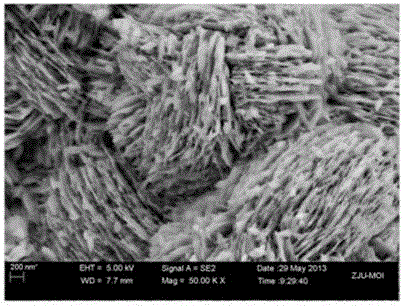 Positive electrode sulfur-carrying material of lithium-sulfur battery and preparation method of lithium-sulfur battery