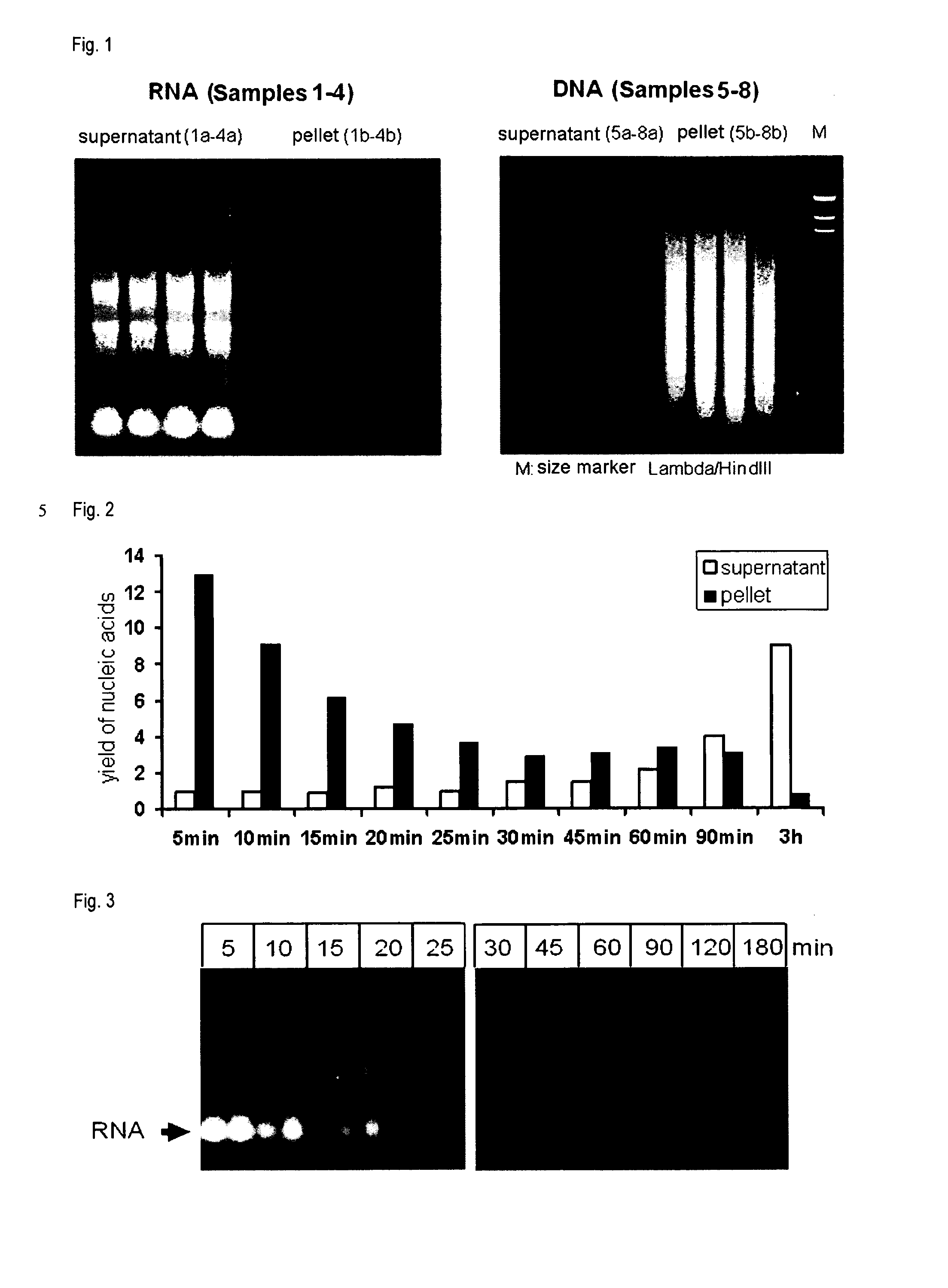 Process for parallel isolation and/or purification of RNA and DNA