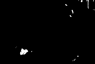 A kind of method of blooming in test tube of dendrobium candidum