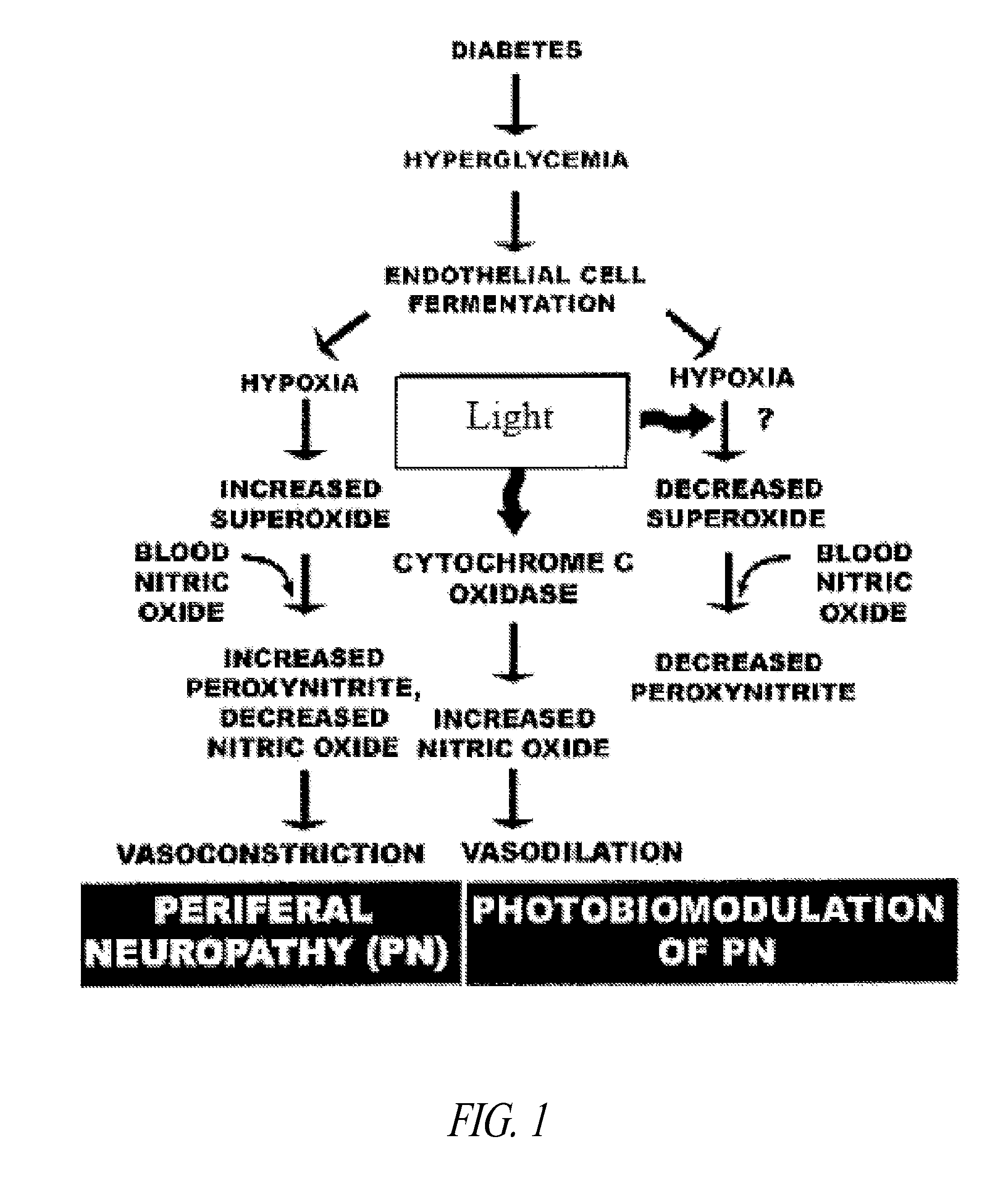 Methods and devices for visible light modulation of mitochondrial function in hypoxia and disease