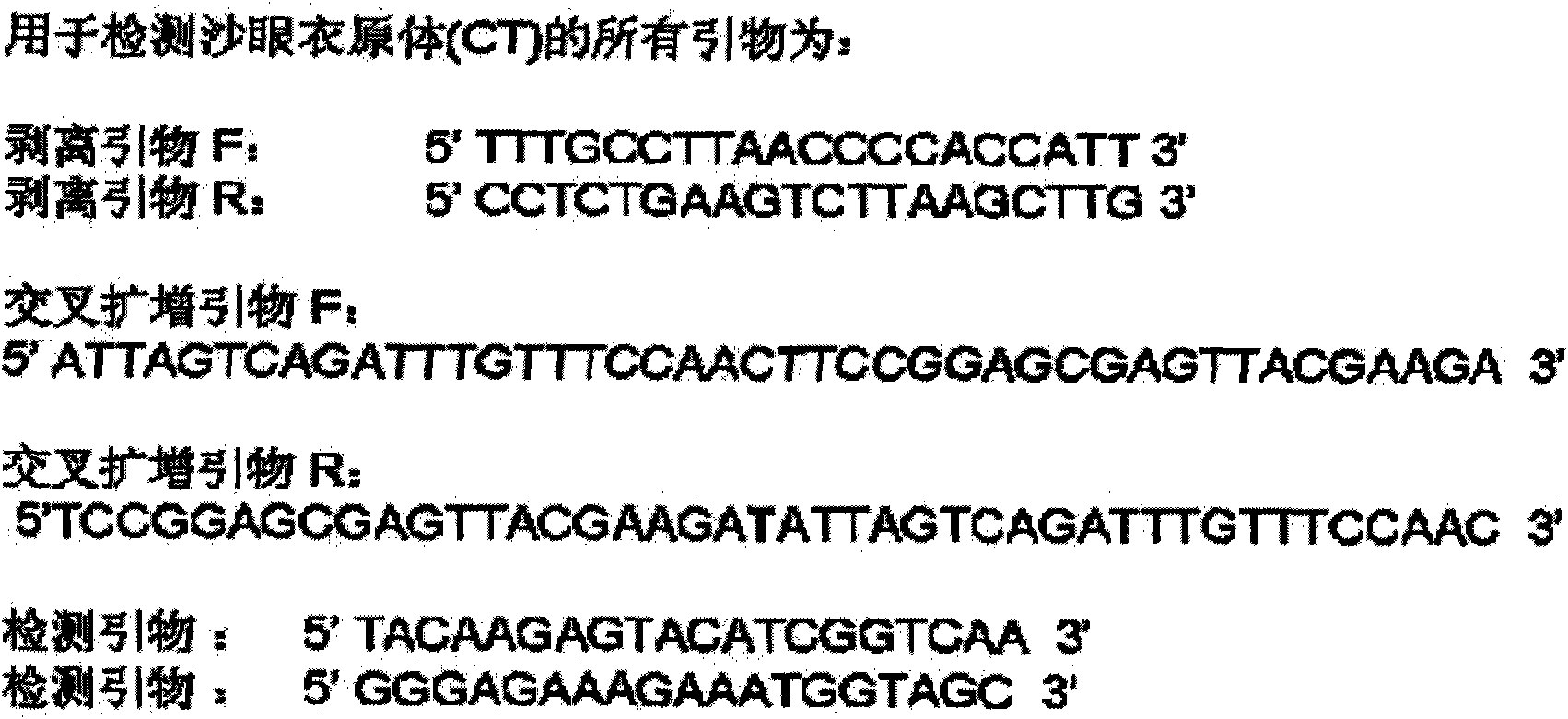 Method for amplifying target nucleic acid sequence by using cross primer and kit for amplifying target nucleic acid sequence and application thereof