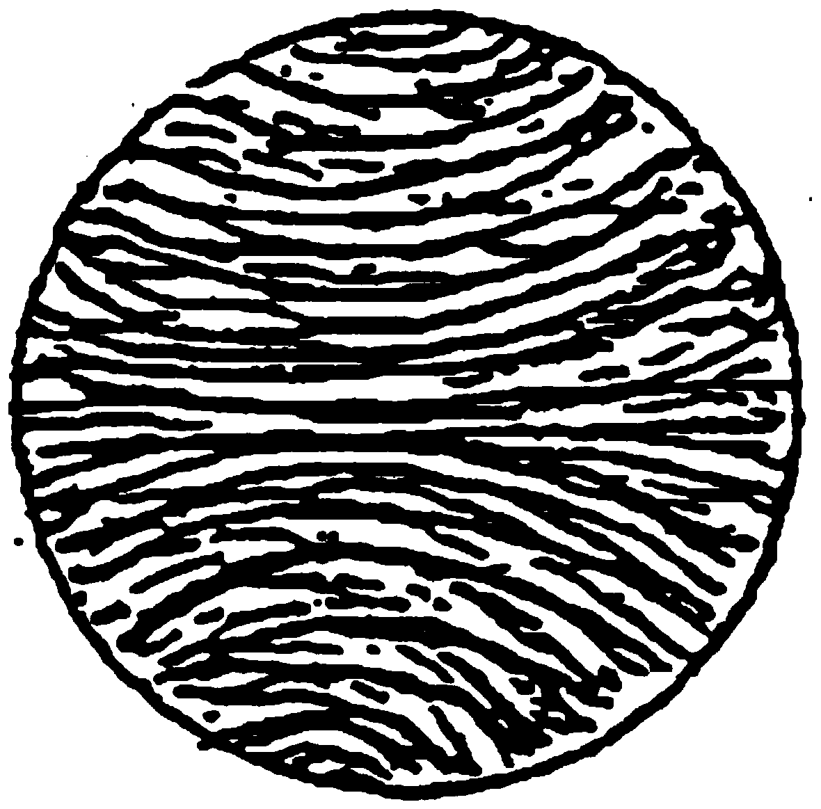 Graphite fiber of lamination cross section structure and melting spinning method for graphite fiber