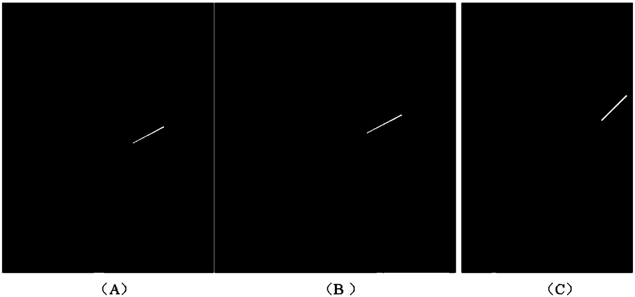 Constructing method and application for osteoportic fracture disease animal model