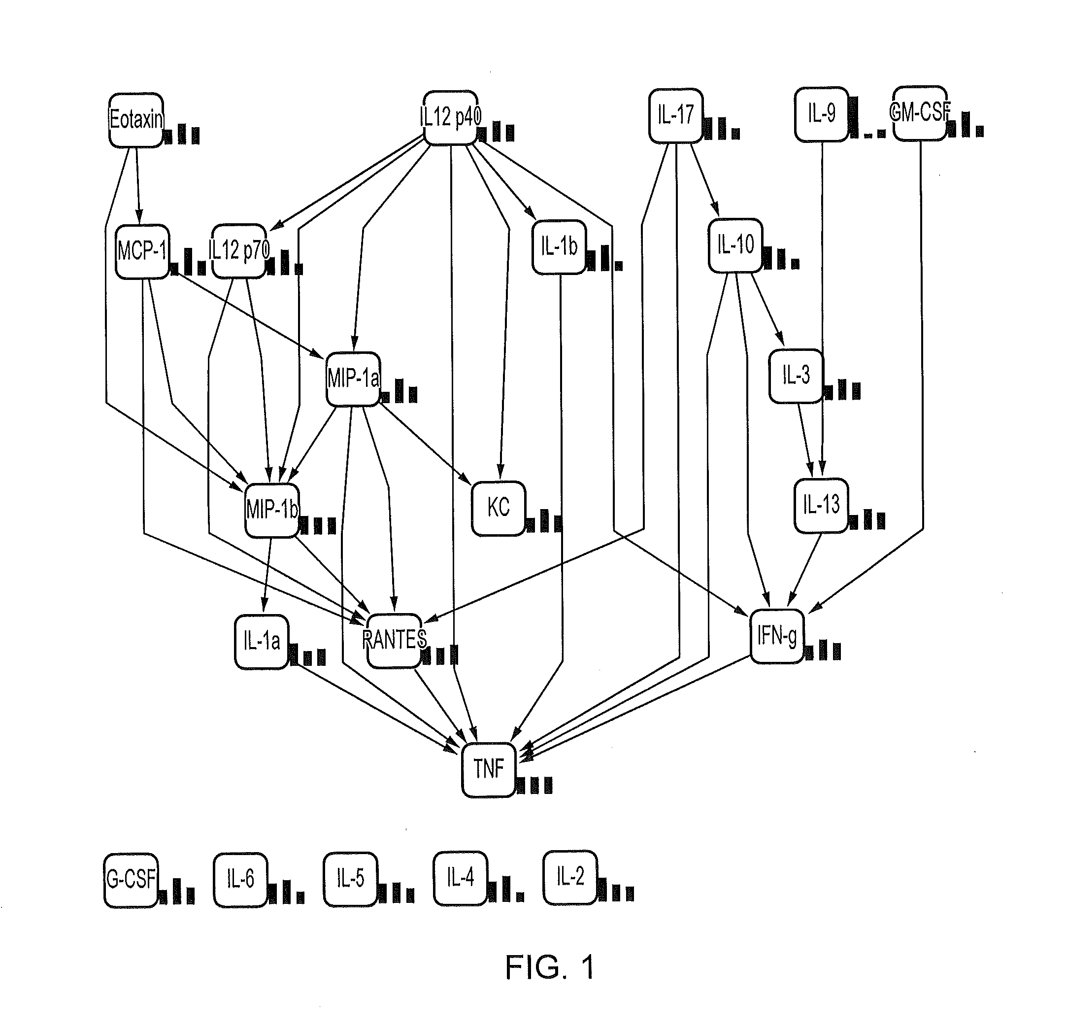 Embryo implantation