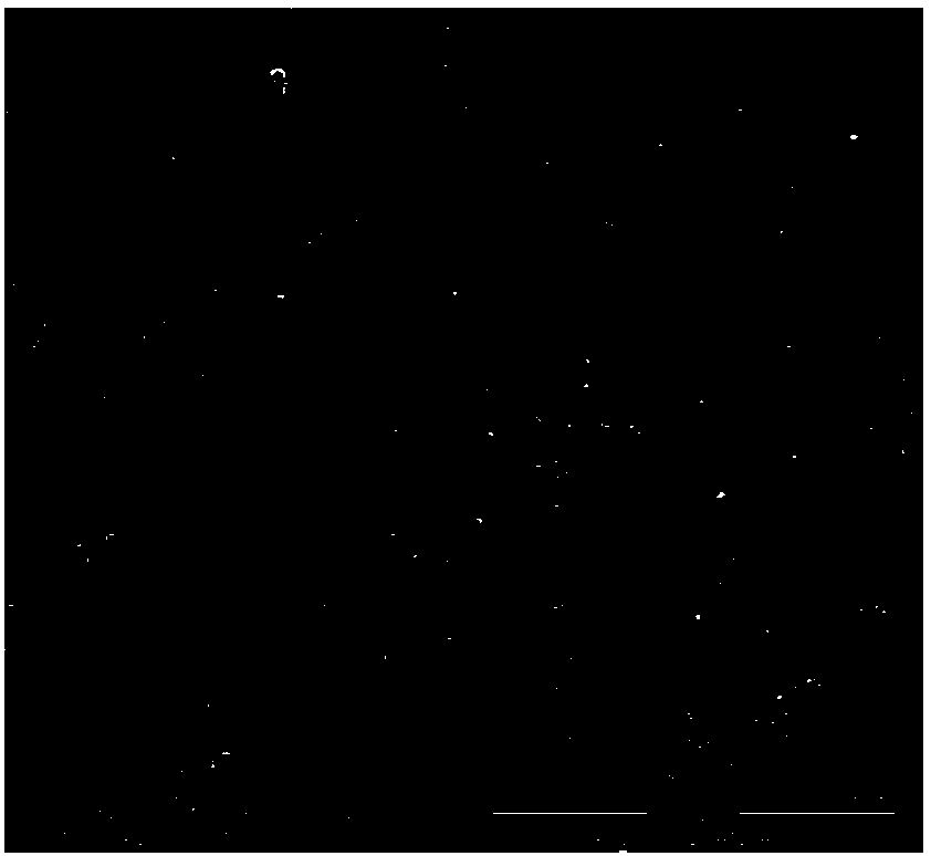 Method of preparing perovskite nanocrystalline film by spraying