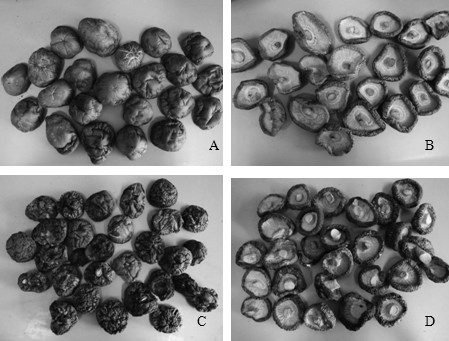 Preparation method of dried shitake mushroom and product thereof