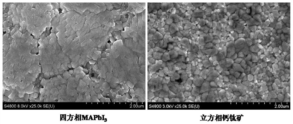 Light absorption material constructed by A and X site coordinated regulation as well as preparation method and application thereof