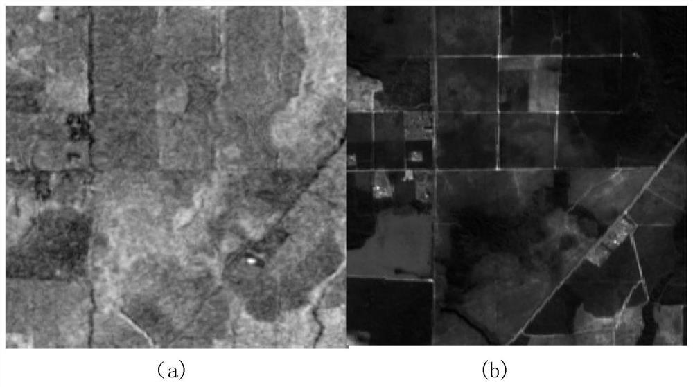 SAR image automatic colorization method based on GANIlla