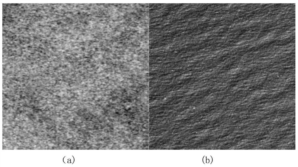 SAR image automatic colorization method based on GANIlla