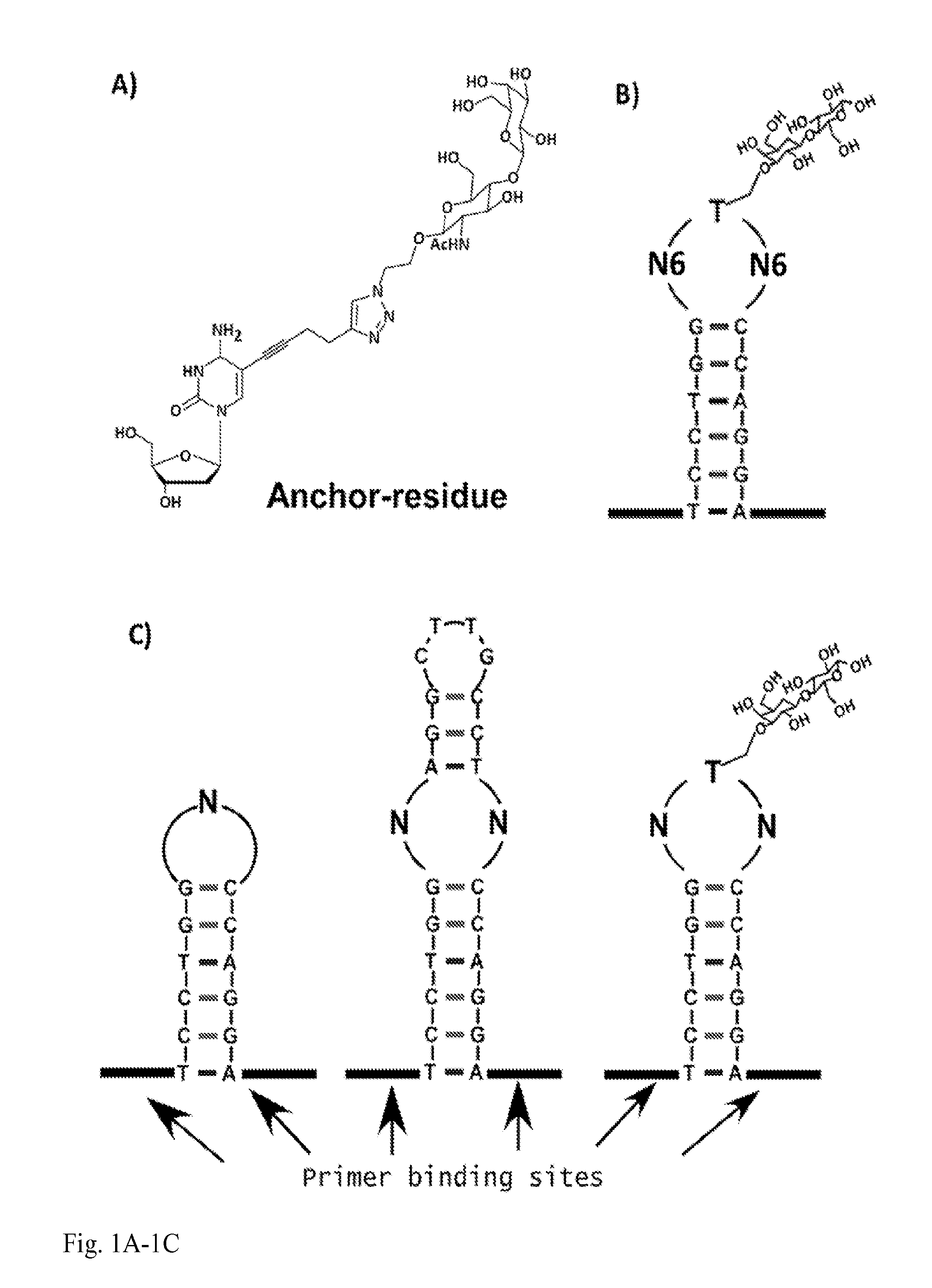 Nucleic acid-scaffolded small molecule libraries