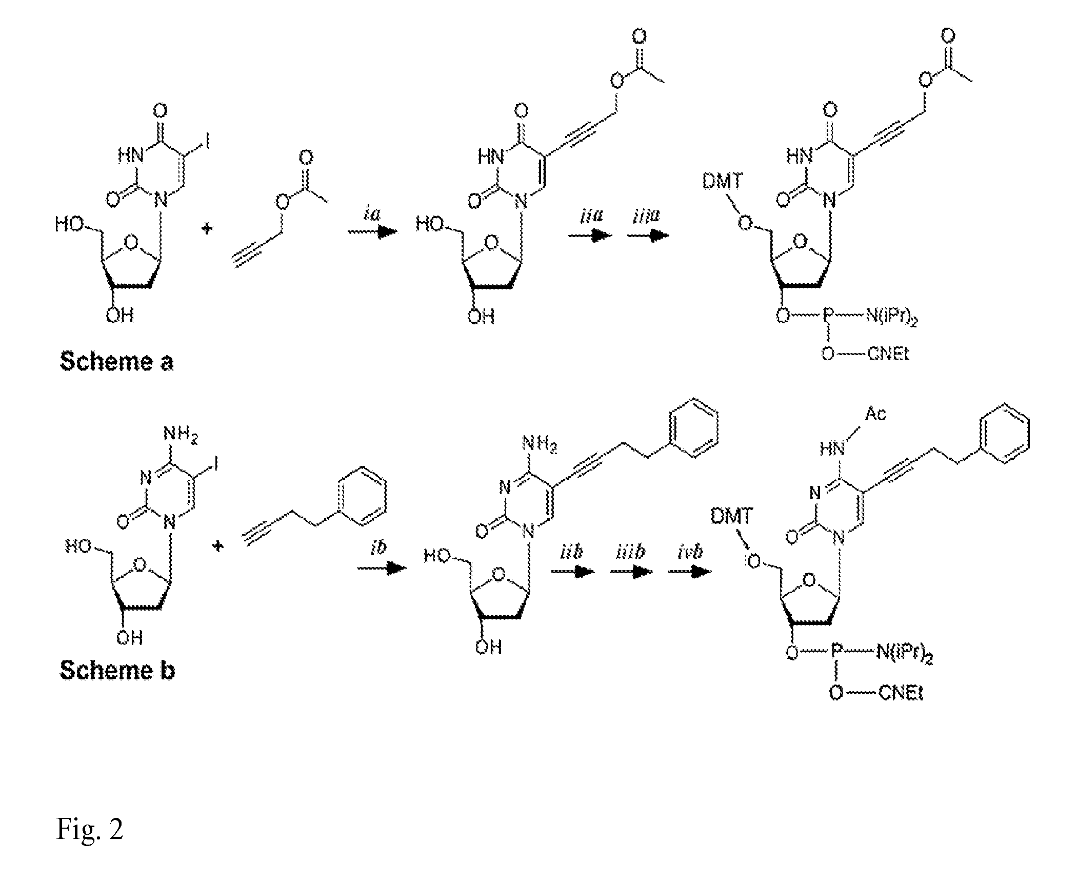 Nucleic acid-scaffolded small molecule libraries