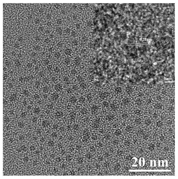 Blue-light and green-light lignin carbon quantum dots with high quantum yield as well as preparation method and application thereof