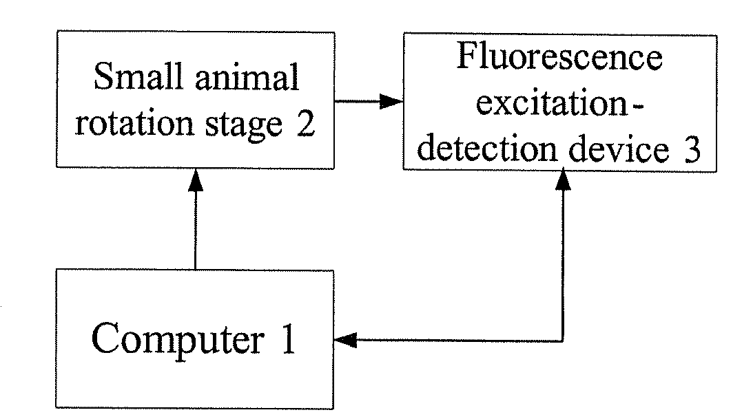 Dynamic Sampling System and Method for In Vivo Fluorescent Molecular Imaging