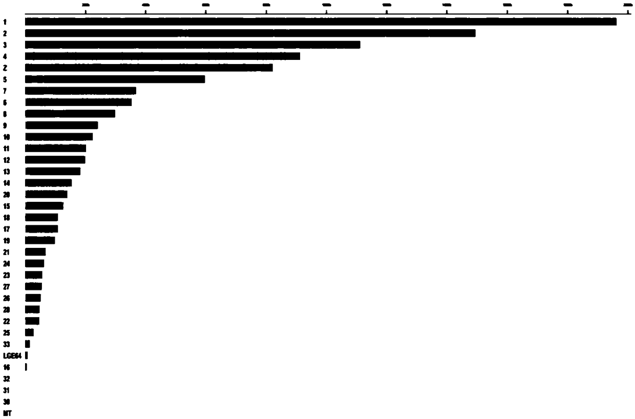 Screening method and application of Bian chicken molecular marker