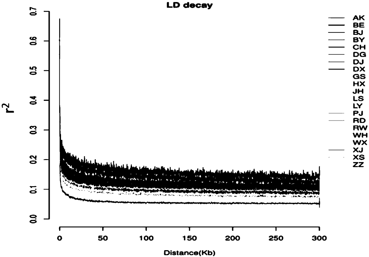 Screening method and application of Bian chicken molecular marker