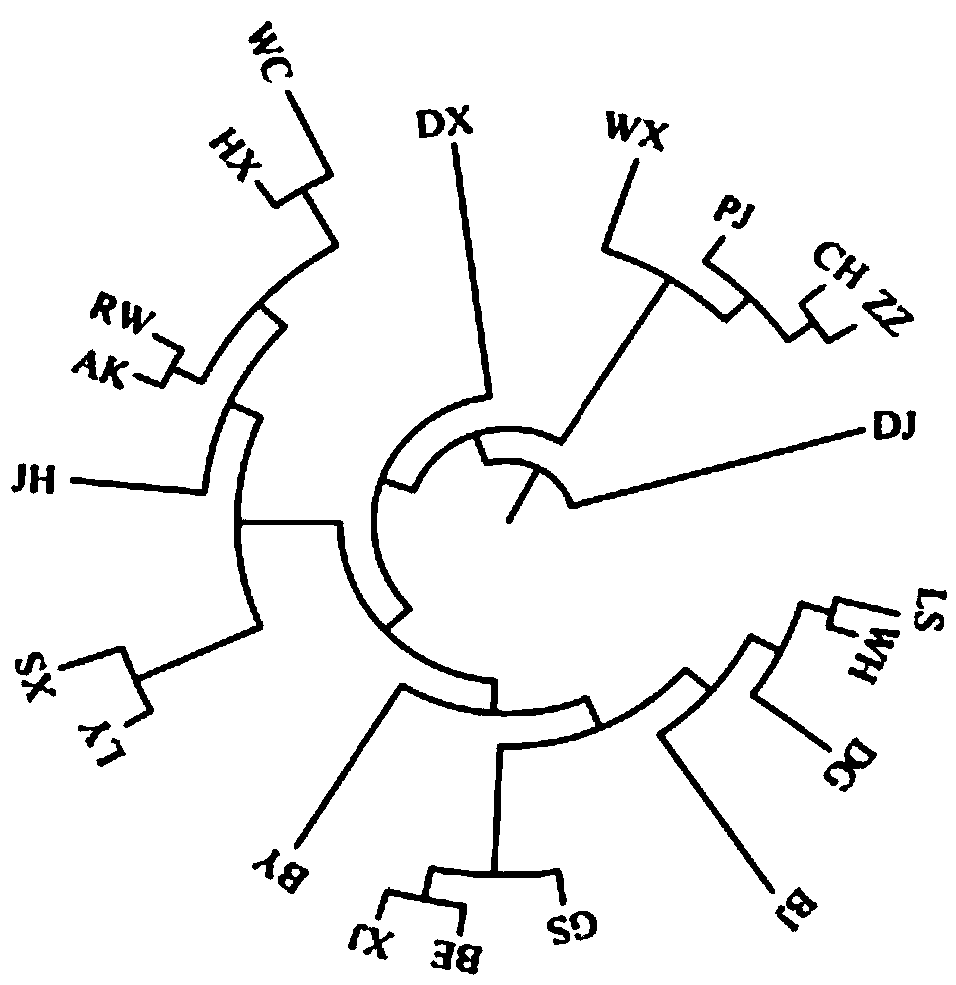 Screening method and application of Bian chicken molecular marker