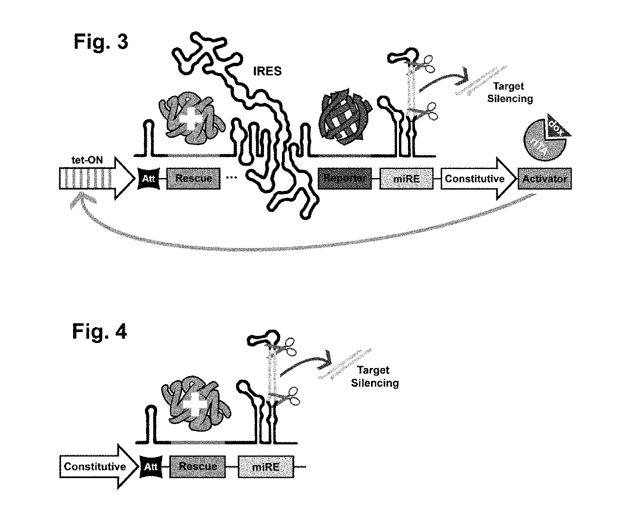 Vector for gene silencing and replacement and methods of use thereof