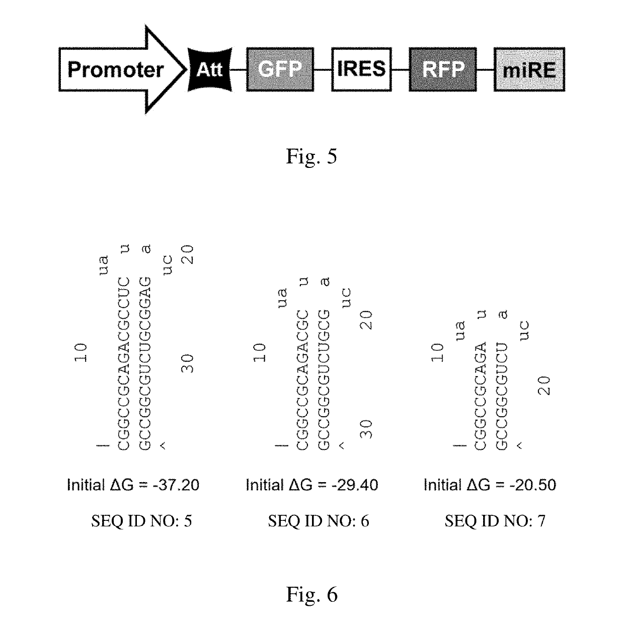 Vector for gene silencing and replacement and methods of use thereof