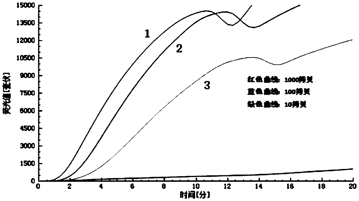 Primer probe set for detecting novel corona virus SARS-CoV-2 and detection method