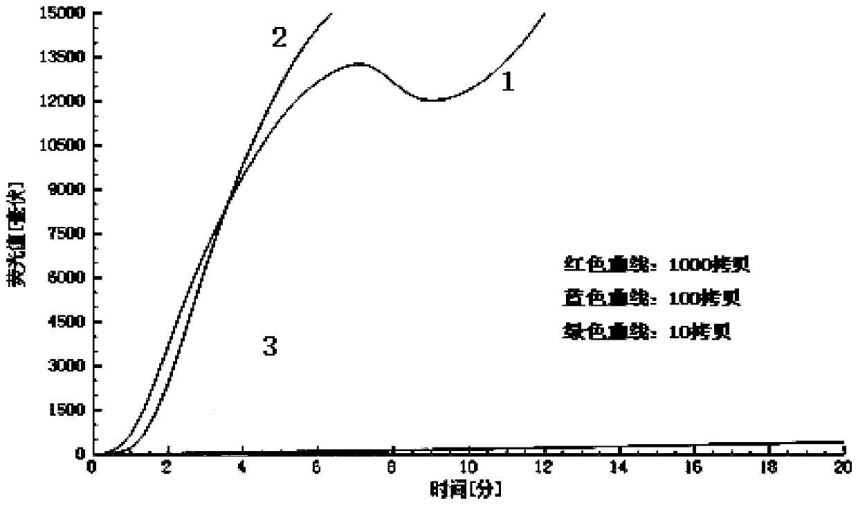 Primer probe set for detecting novel corona virus SARS-CoV-2 and detection method