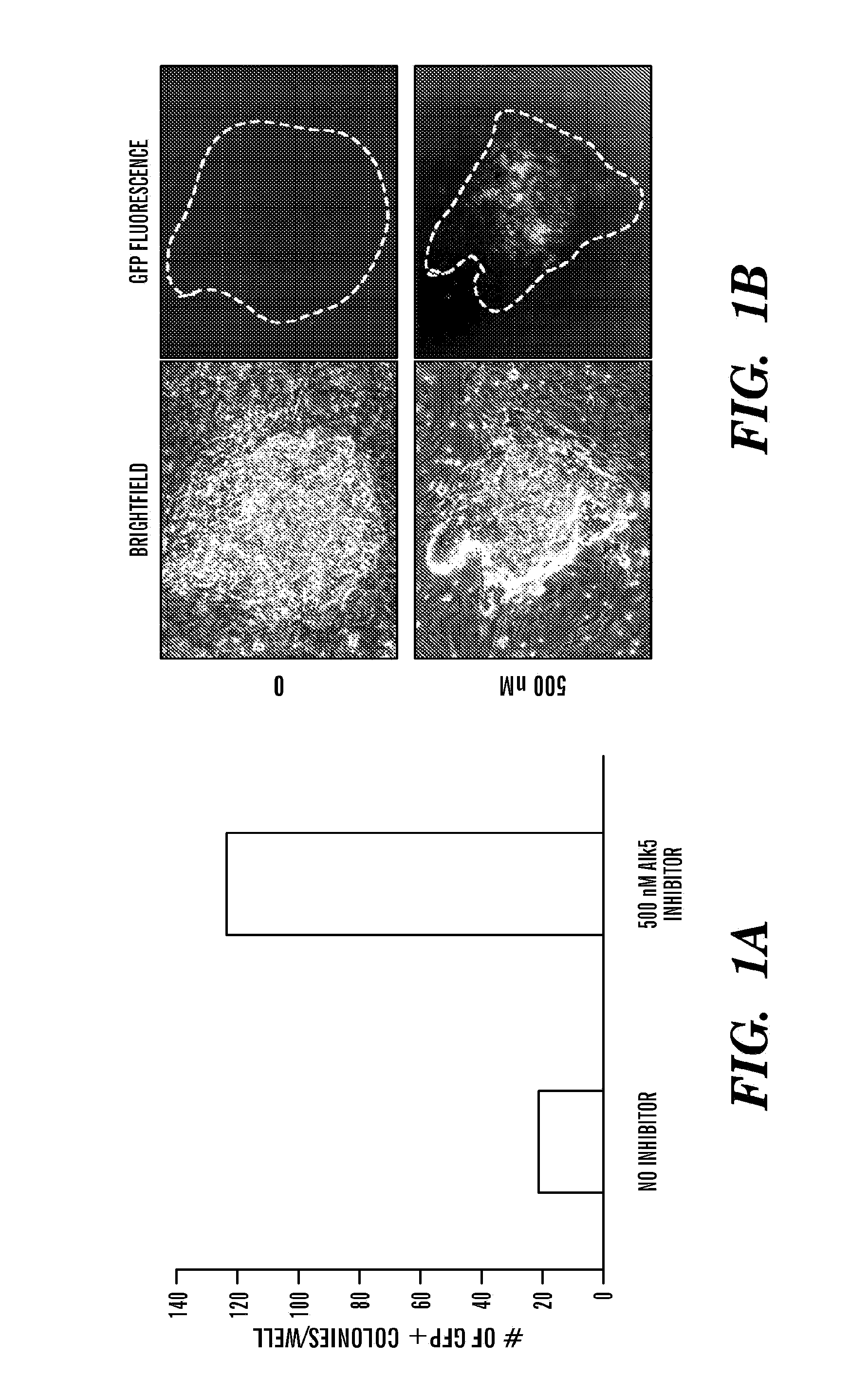 TGF-beta receptor inhibitors to enhance direct reprogramming