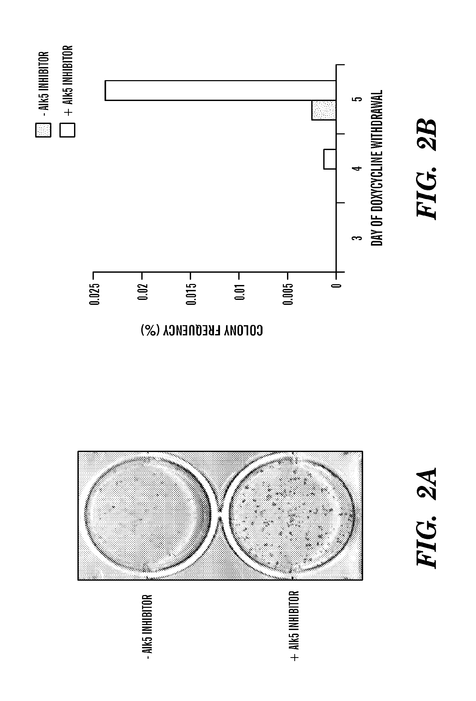 TGF-beta receptor inhibitors to enhance direct reprogramming