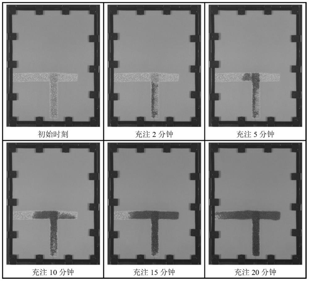 A semi-sealed two-dimensional seepage model and its manufacturing method