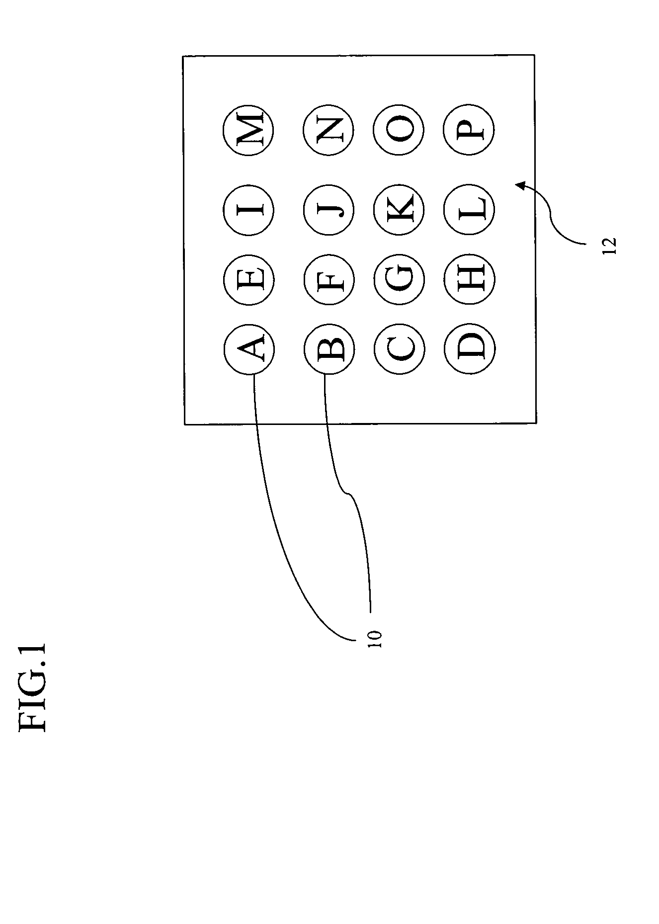 Target evaluation using biological membrane arrays